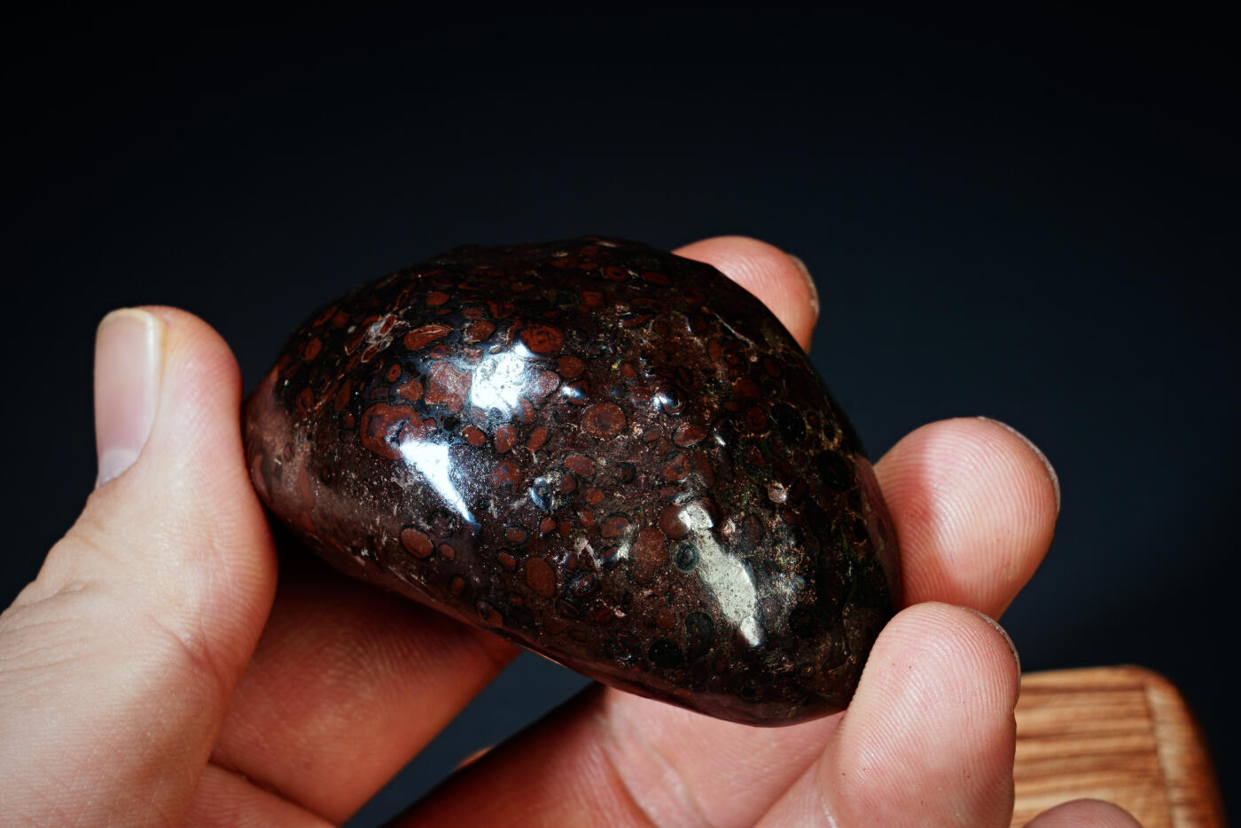 上海都达杂项专场四十四【全场包邮】  陨石 连座91-93