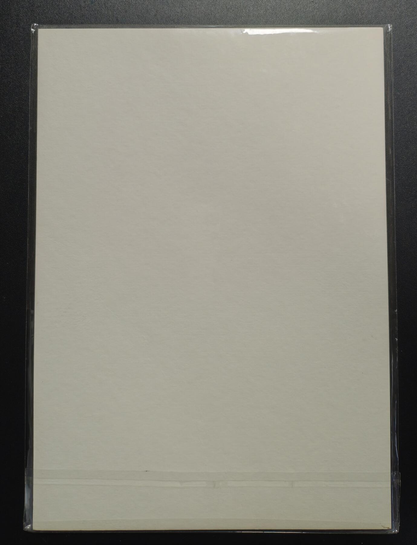 天玑星卡拍第176期《3.5周四截拍》持续收拍收评中 满赠卡需备注 【亲签复制画】沈鑫 闻仲 亲签复制画 微黄 直角边难免有损介意勿拍