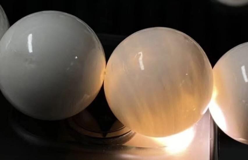 大尺寸深海贝壳手串