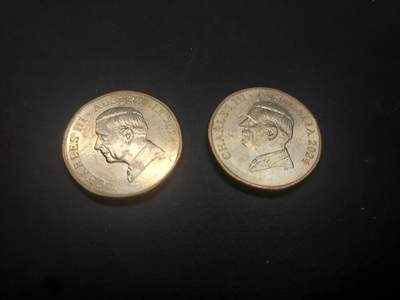 博彦收藏   3月7日 8点钱币专场 全场包邮 - 2024 澳洲bluey 硬币2枚