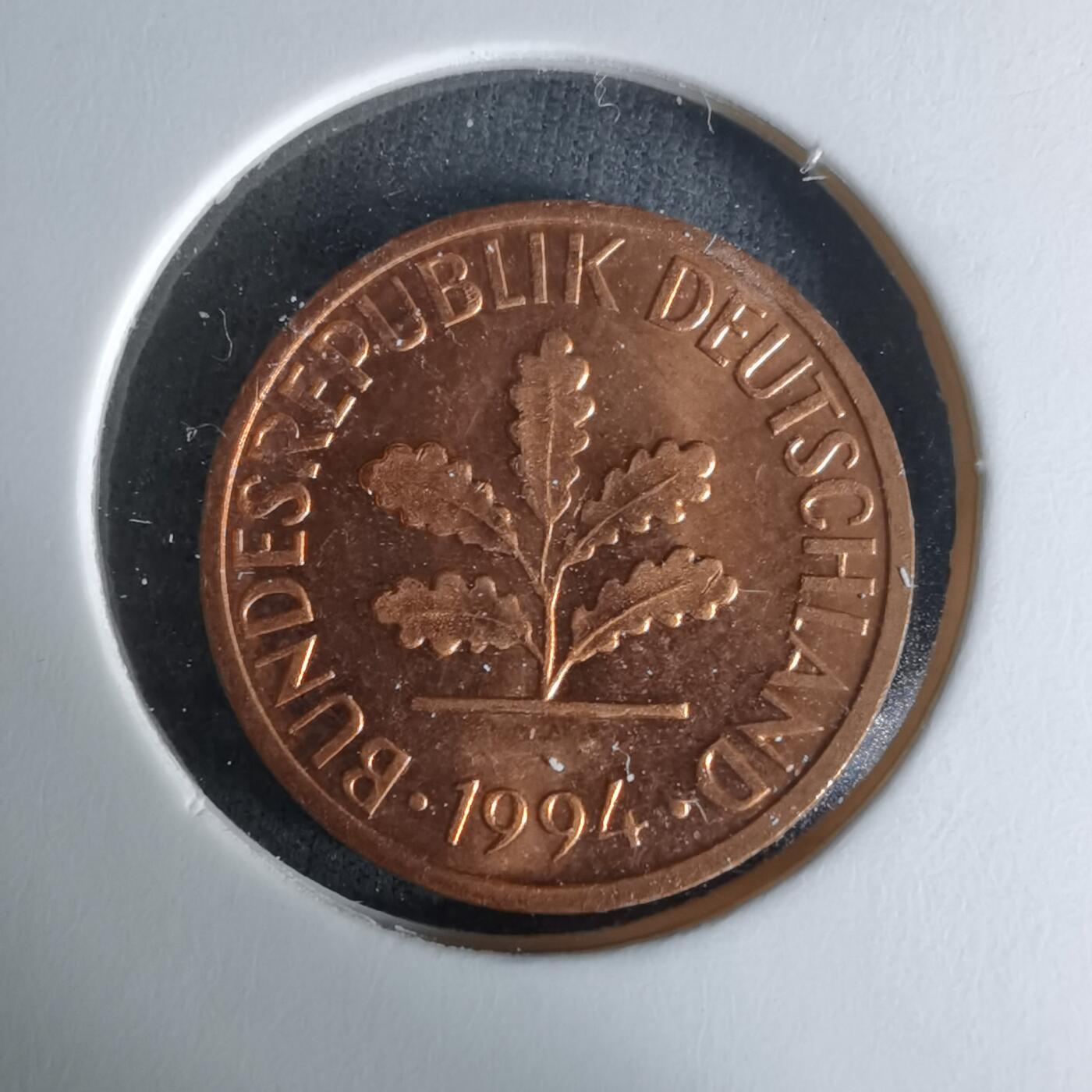 沼泽如烟--第1009场