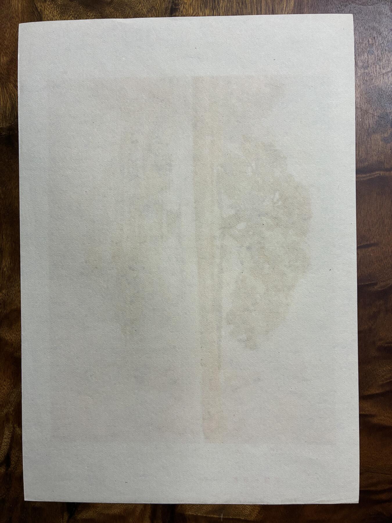 情怀旧藏儿时记忆经典收藏交流拍卖会 桂林大榕树老年画宣传画