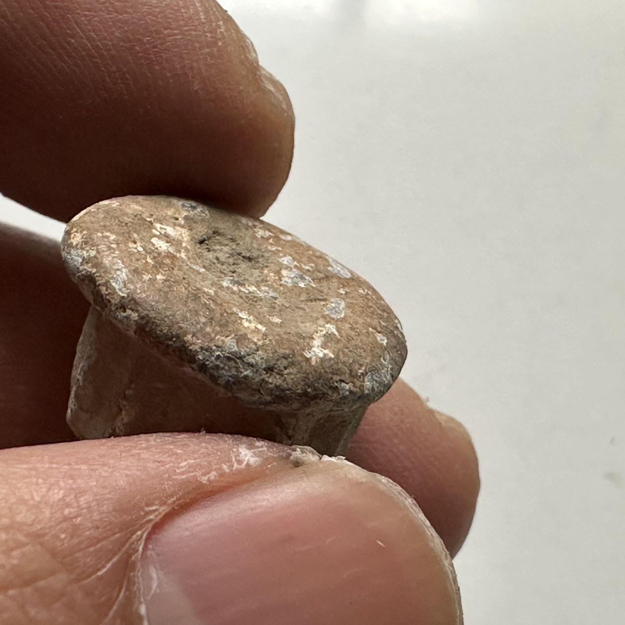 🌹外币初藏🌹🐯2026年第24场  每周二四六晚8️⃣点 接代拍 中国唐代青铜瓜棱纹佛座残件 高约12mm 直径约16mm 重25.3g 生坑绿锈