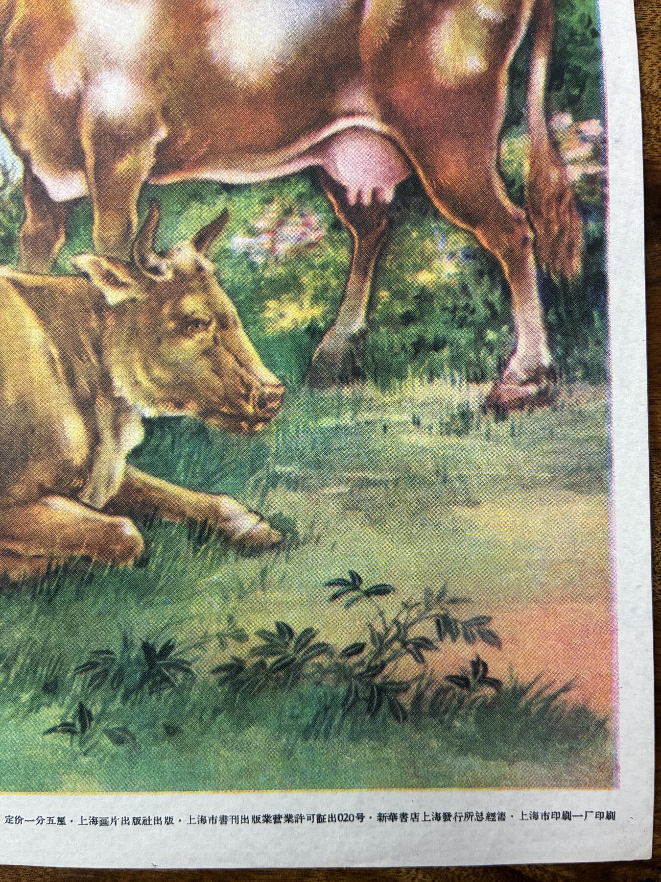 情怀旧藏儿时记忆经典收藏交流拍卖会 牛老年画宣传画