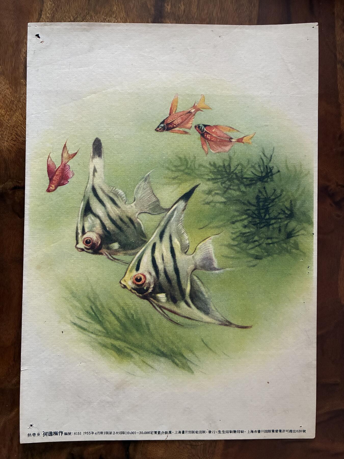 情怀旧藏儿时记忆经典收藏交流拍卖会 何逸梅绘画热带鱼老年画宣传画