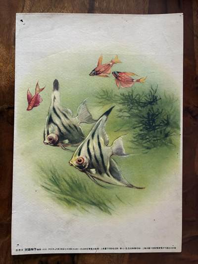 情怀旧藏儿时记忆经典收藏交流拍卖会 - 何逸梅绘画热带鱼老年画宣传画
