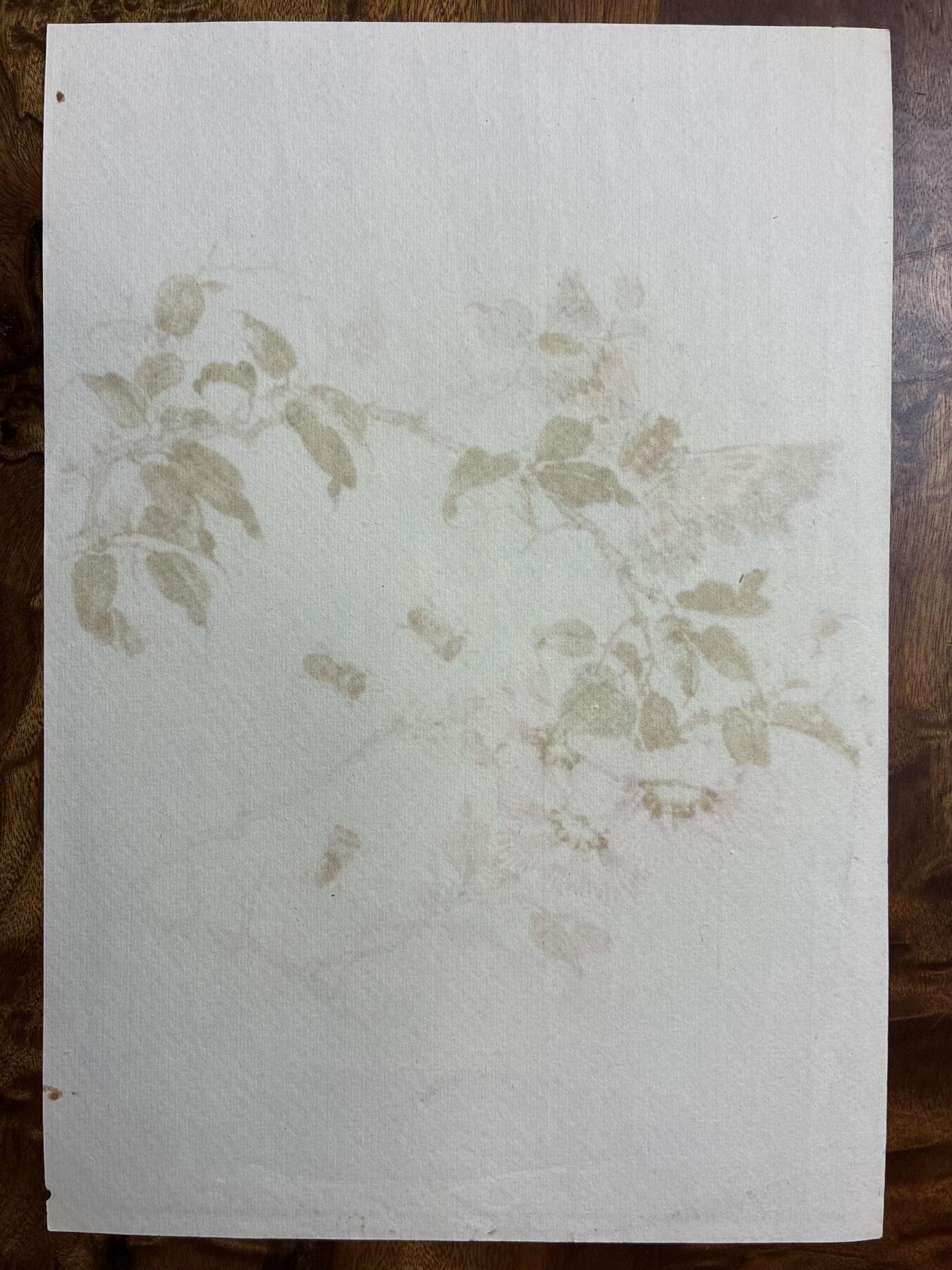 情怀旧藏儿时记忆经典收藏交流拍卖会