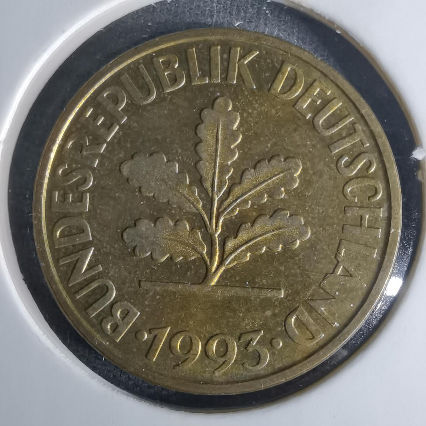 沼泽如烟--第1009场