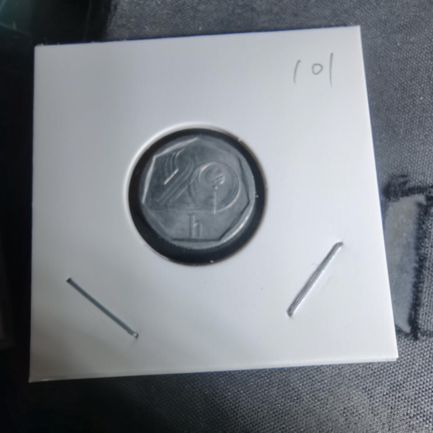 沼泽如烟--第1009场