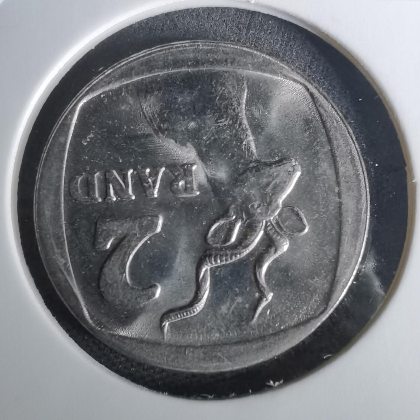 沼泽如烟--第1010场