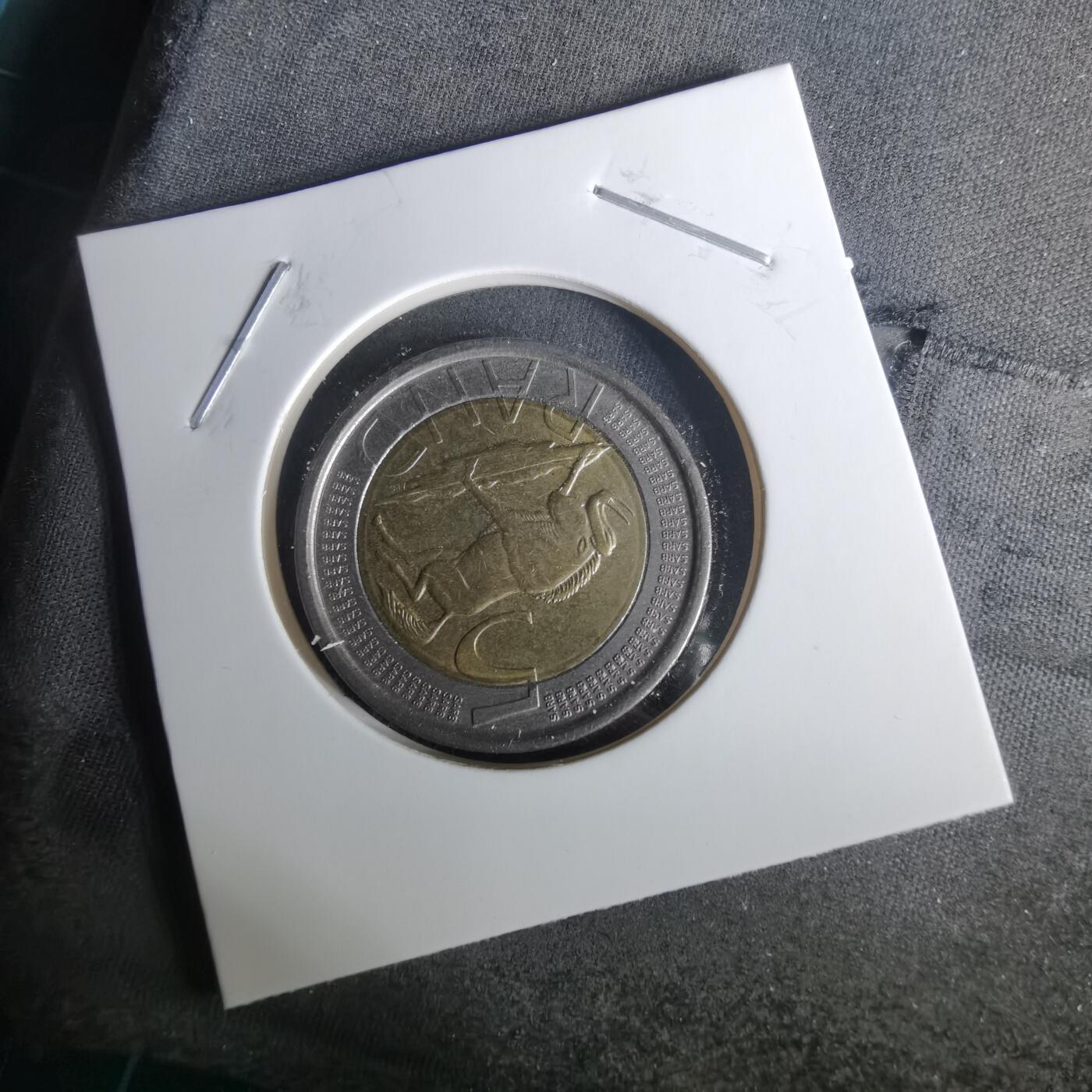 沼泽如烟--第1010场