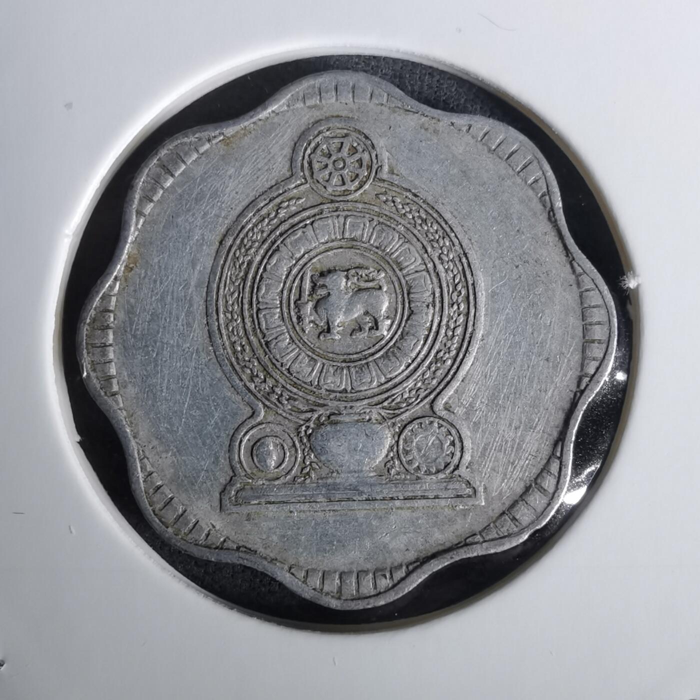 沼泽如烟--第1010场