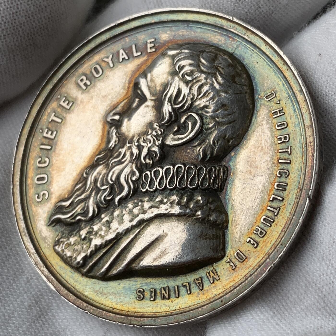 掌中浮雕-藏着的欧洲第053场 皇家园艺协会银章，46.45mm，30g