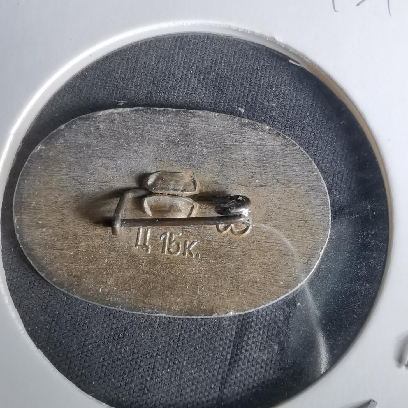 沼泽如烟--第1010场 纪念章