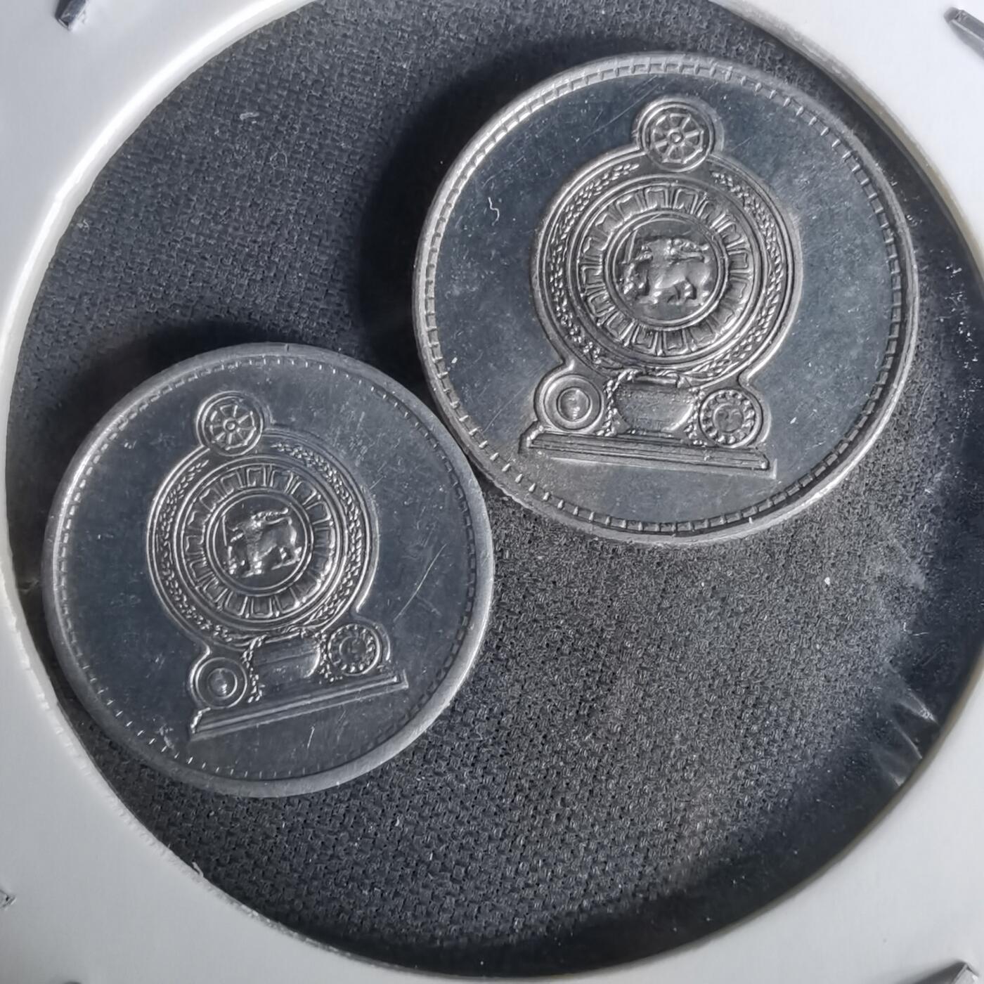 沼泽如烟--第1010场