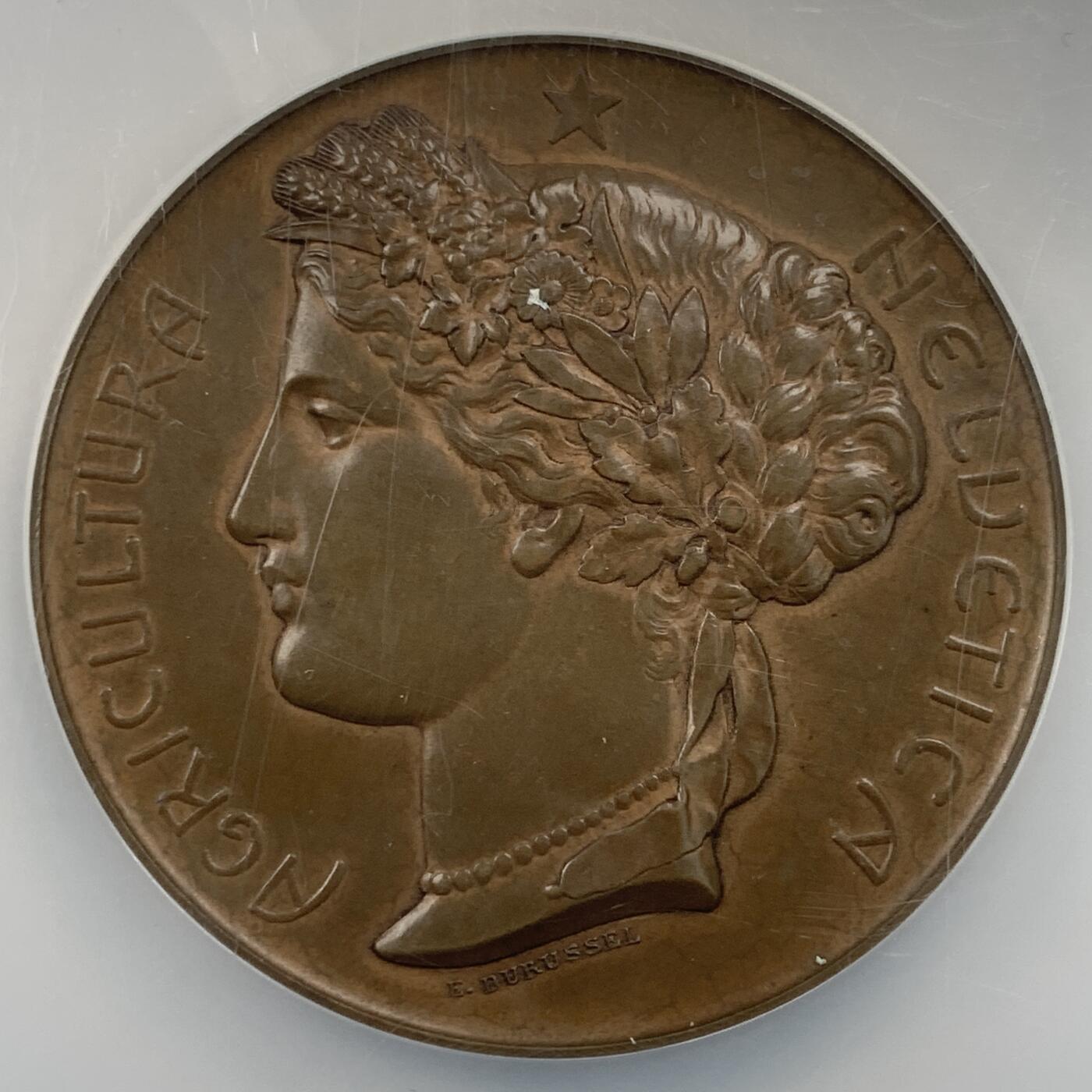 掌中浮雕-藏着的欧洲第053场 NGC MS64 : 1903年瑞士林业博览会纪念铜章，51mm