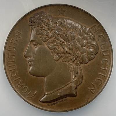 掌中浮雕-藏着的欧洲第053场 - NGC MS64 : 1903年瑞士林业博览会纪念铜章，51mm