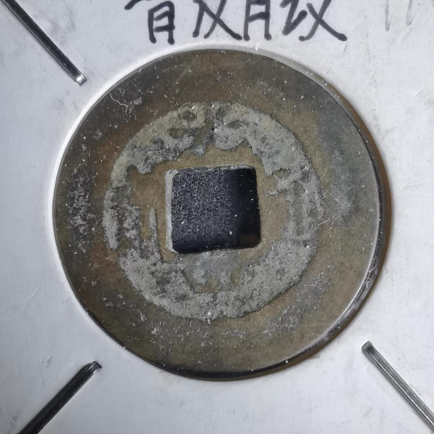 沼泽如烟--第1011场