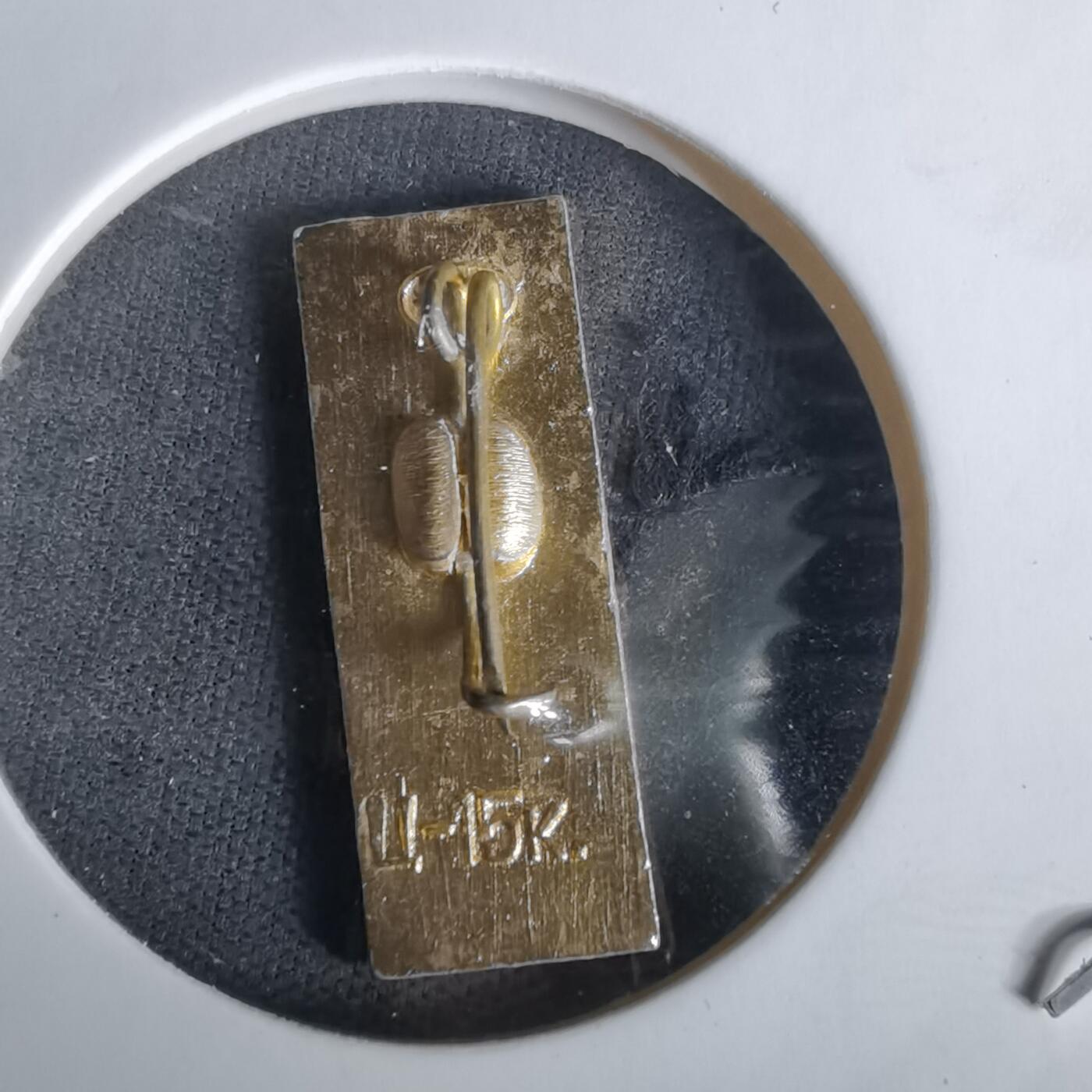 沼泽如烟--第1010场 纪念章