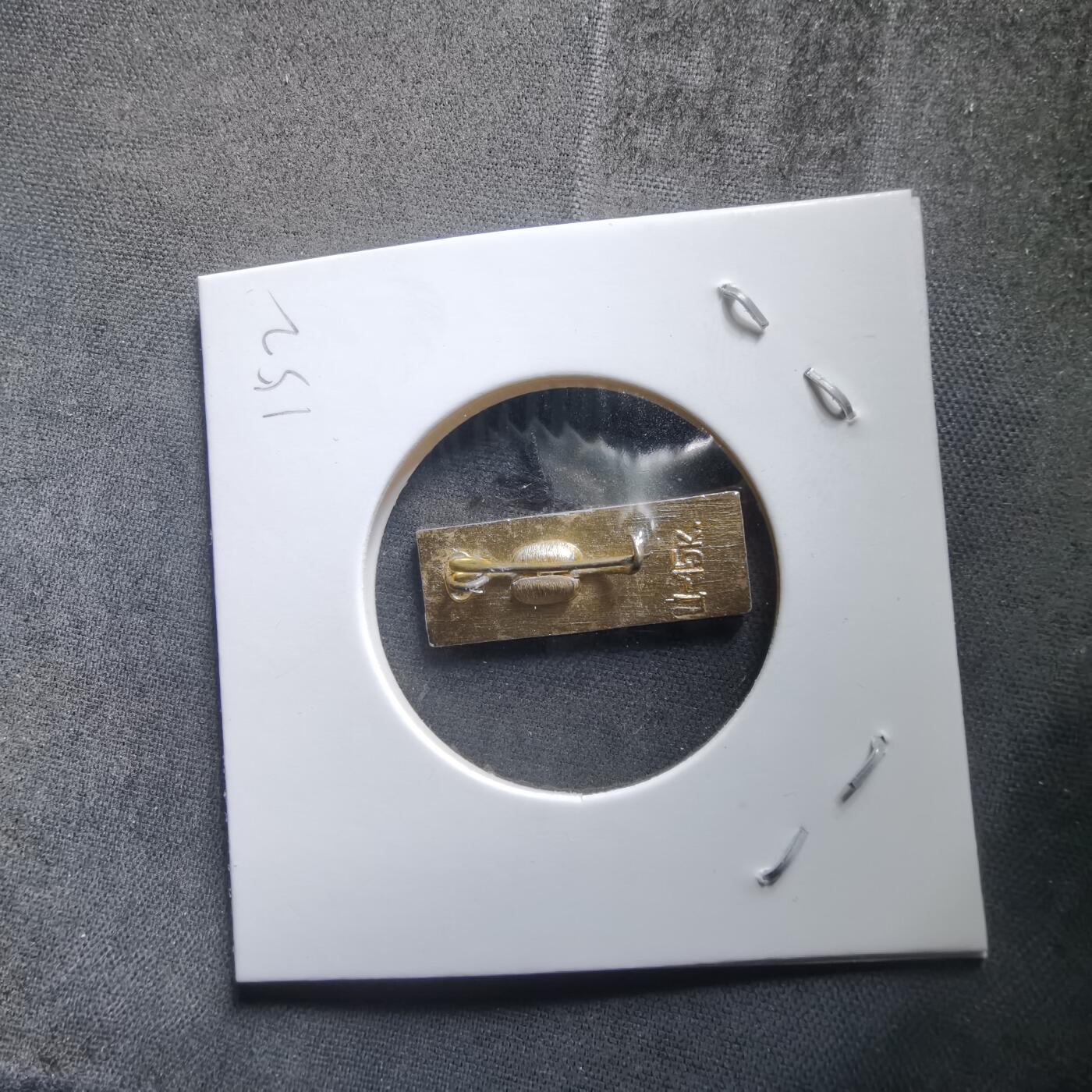 沼泽如烟--第1010场 纪念章