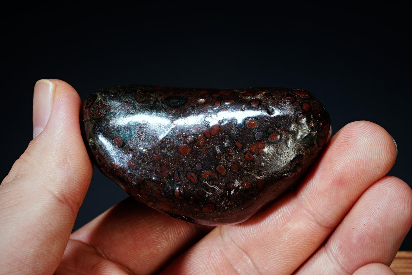 上海都达杂项专场四十四【全场包邮】  陨石 连座91-93