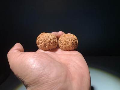 磨盘狮子头38尺全品无修 - 磨盘狮子头38尺全品无修