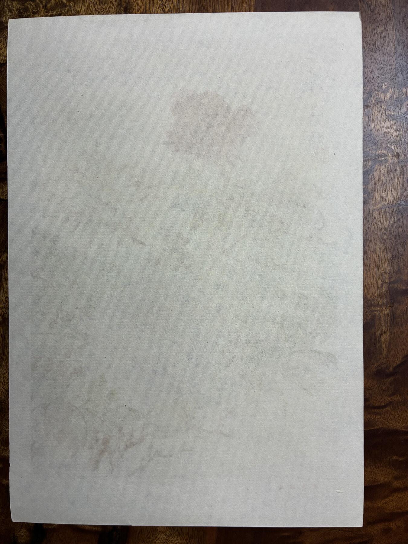 情怀旧藏儿时记忆经典收藏交流拍卖会 张大壮绘画魏紫姚黄老年画宣传画