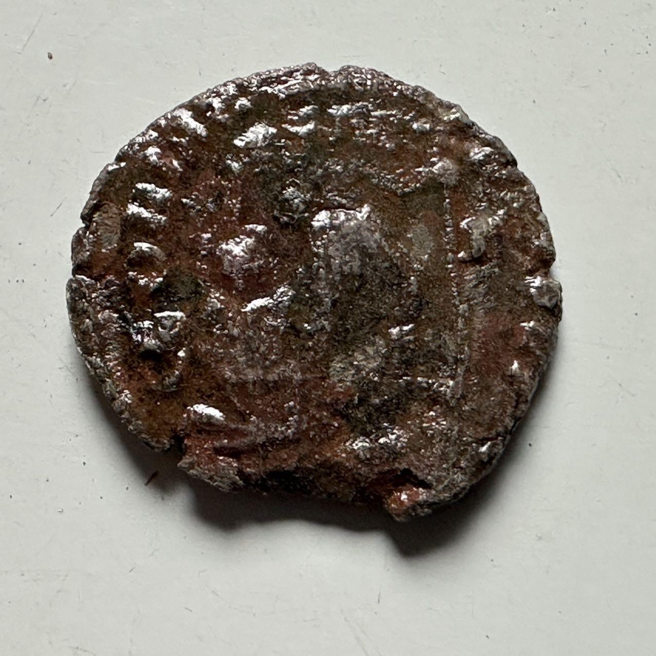 🌹外币初藏🌹🐯2026年第24场  每周二四六晚8️⃣点 接代拍