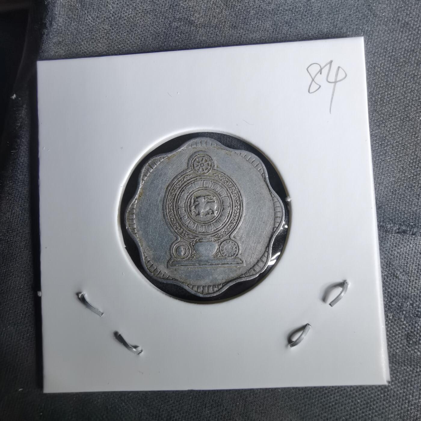 沼泽如烟--第1010场