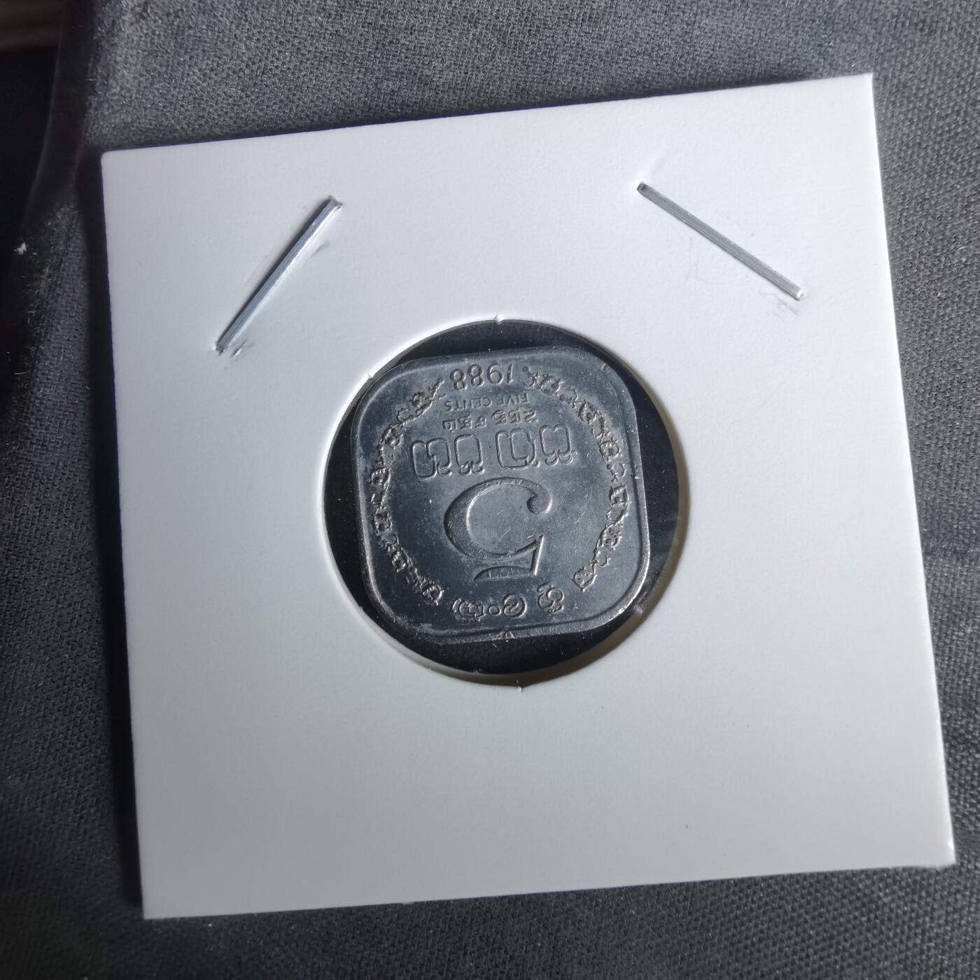 沼泽如烟--第1010场