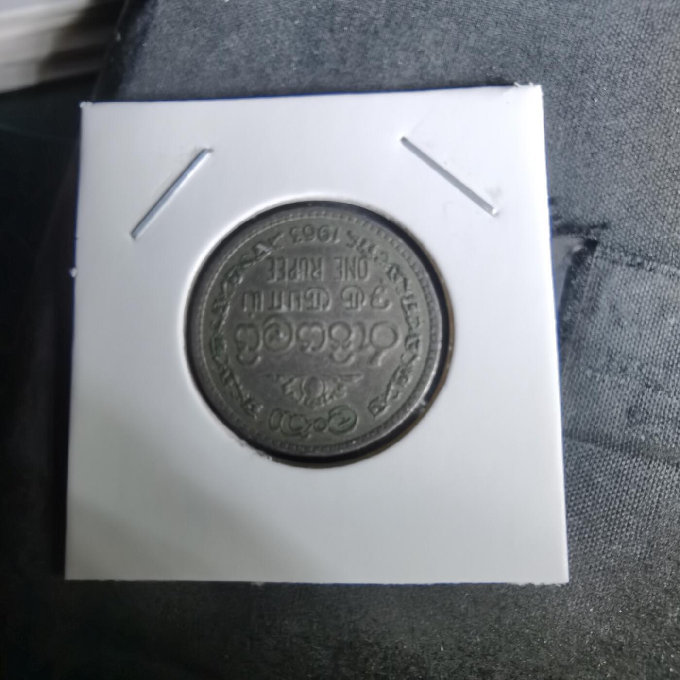 沼泽如烟--第1010场