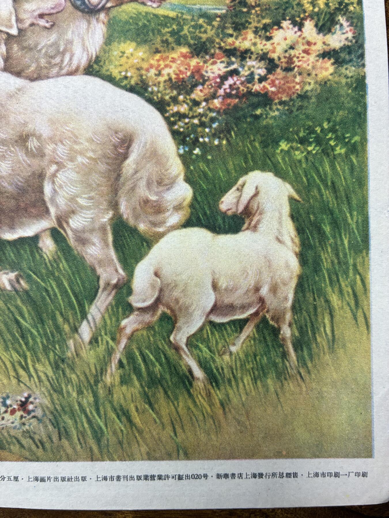 情怀旧藏儿时记忆经典收藏交流拍卖会 羊老年画宣传画