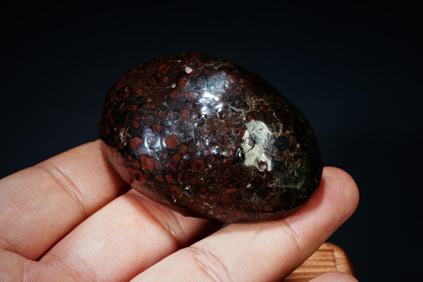 上海都达杂项专场四十四【全场包邮】  陨石 连座91-93