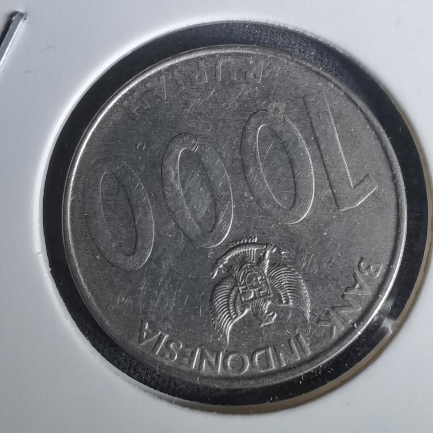 沼泽如烟--第1010场