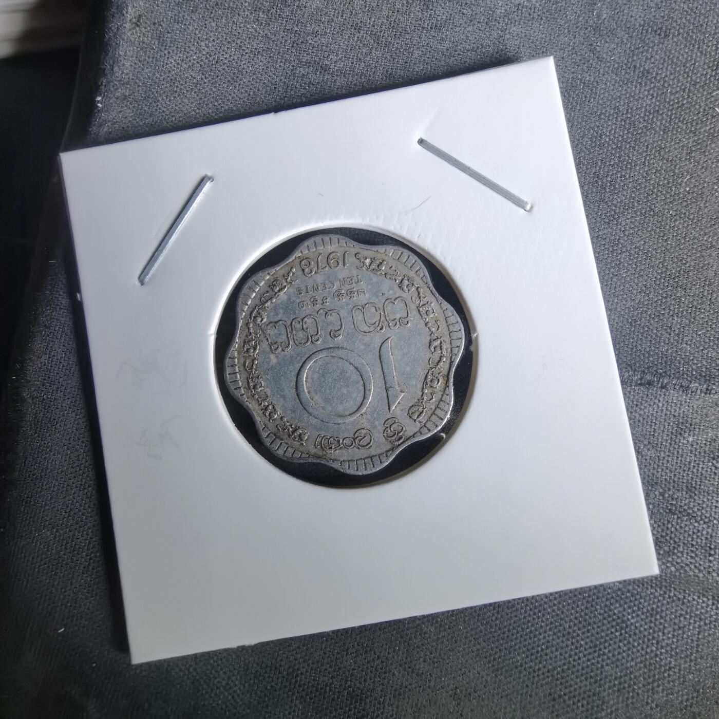 沼泽如烟--第1010场