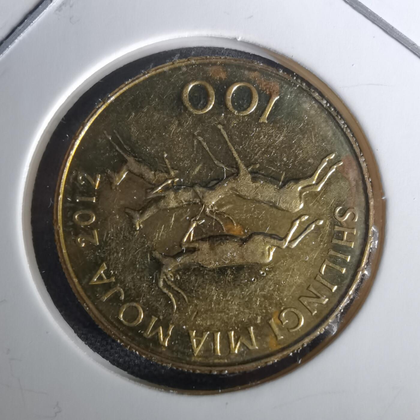 沼泽如烟--第1010场 坦桑尼亚2012年100先令