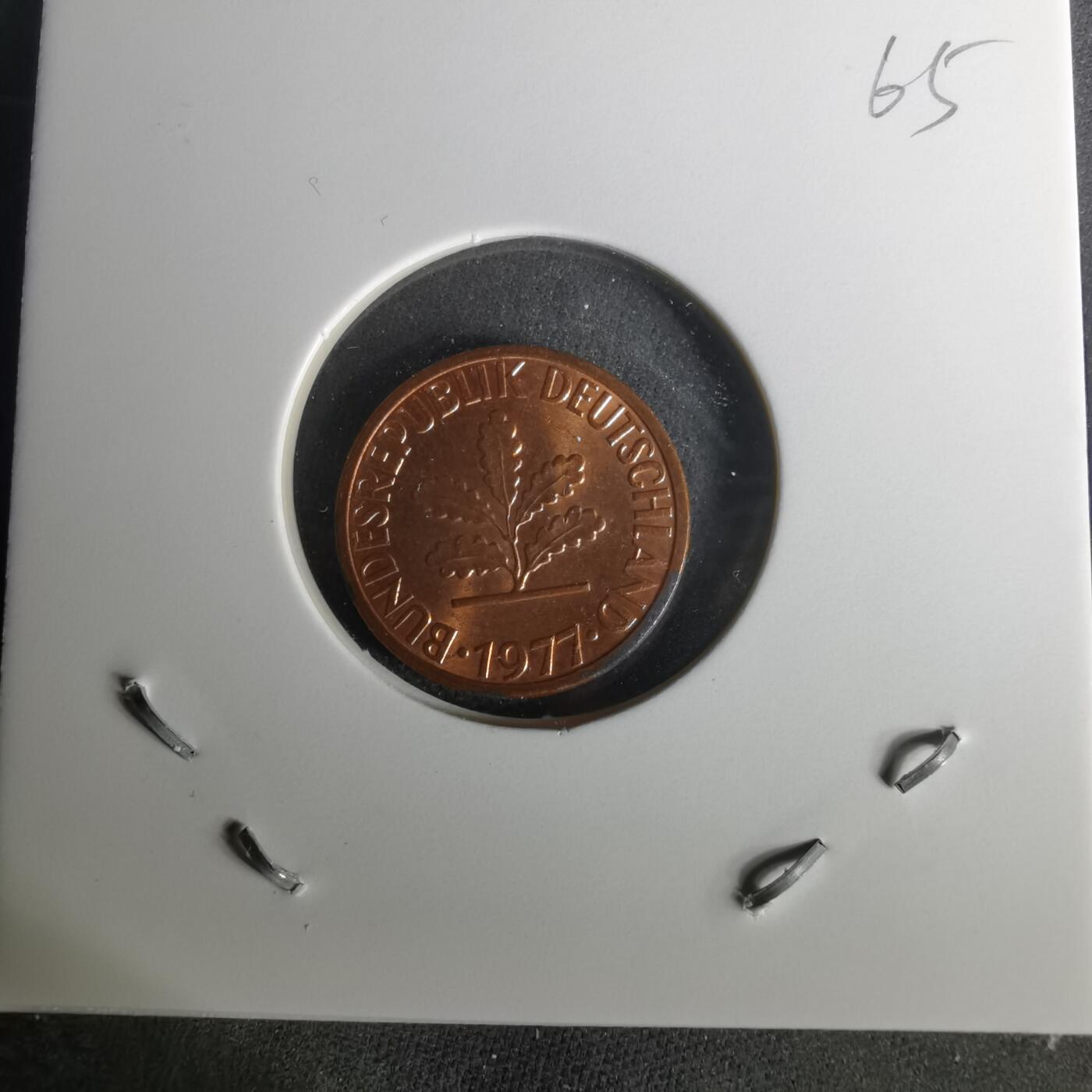 沼泽如烟--第1010场