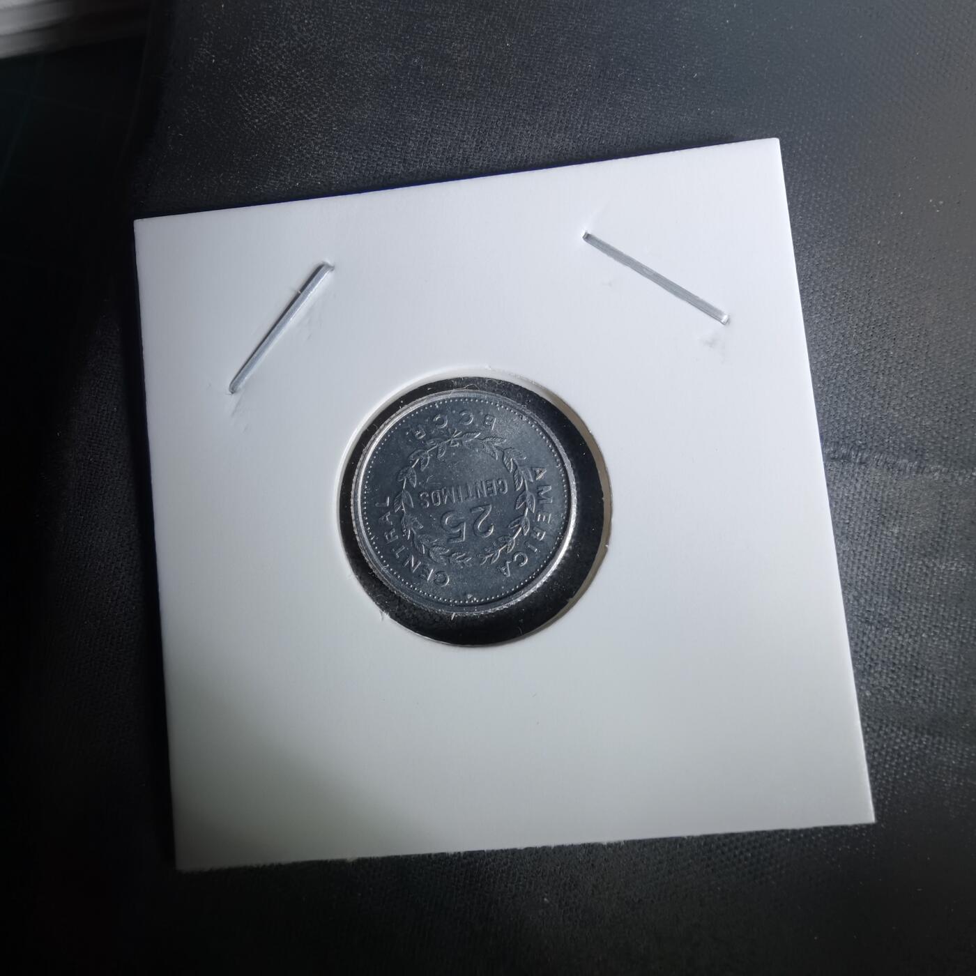 沼泽如烟--第1010场