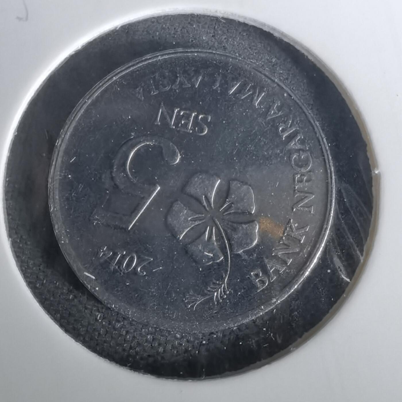 沼泽如烟--第1010场