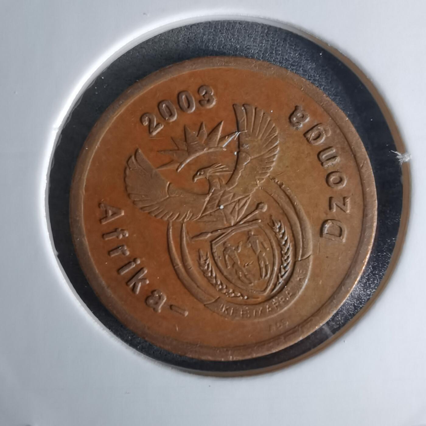 沼泽如烟--第1009场