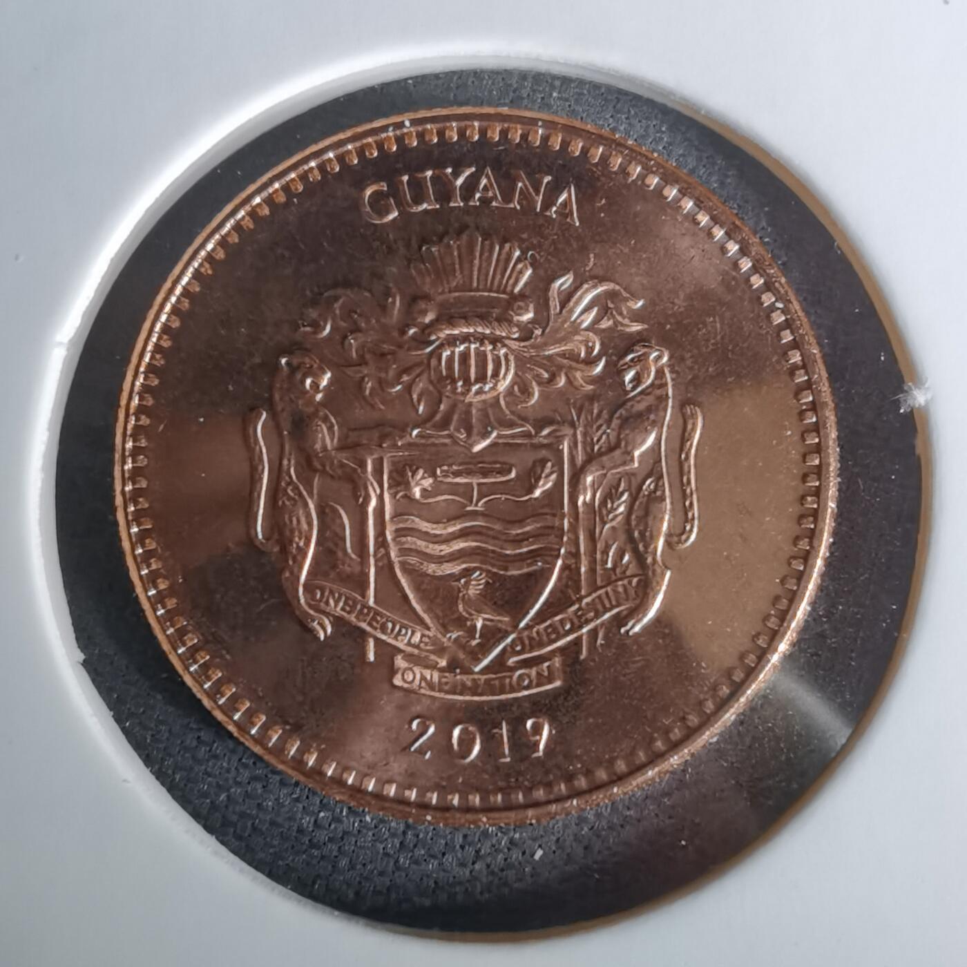 沼泽如烟--第1010场 圭亚那2019年5元