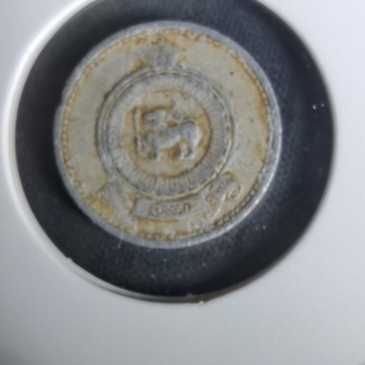 沼泽如烟--第1010场