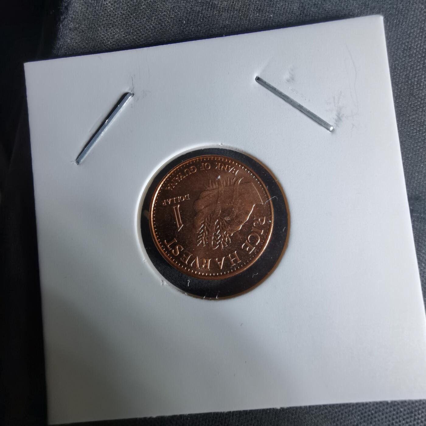 沼泽如烟--第1009场 圭亚那2015年一元