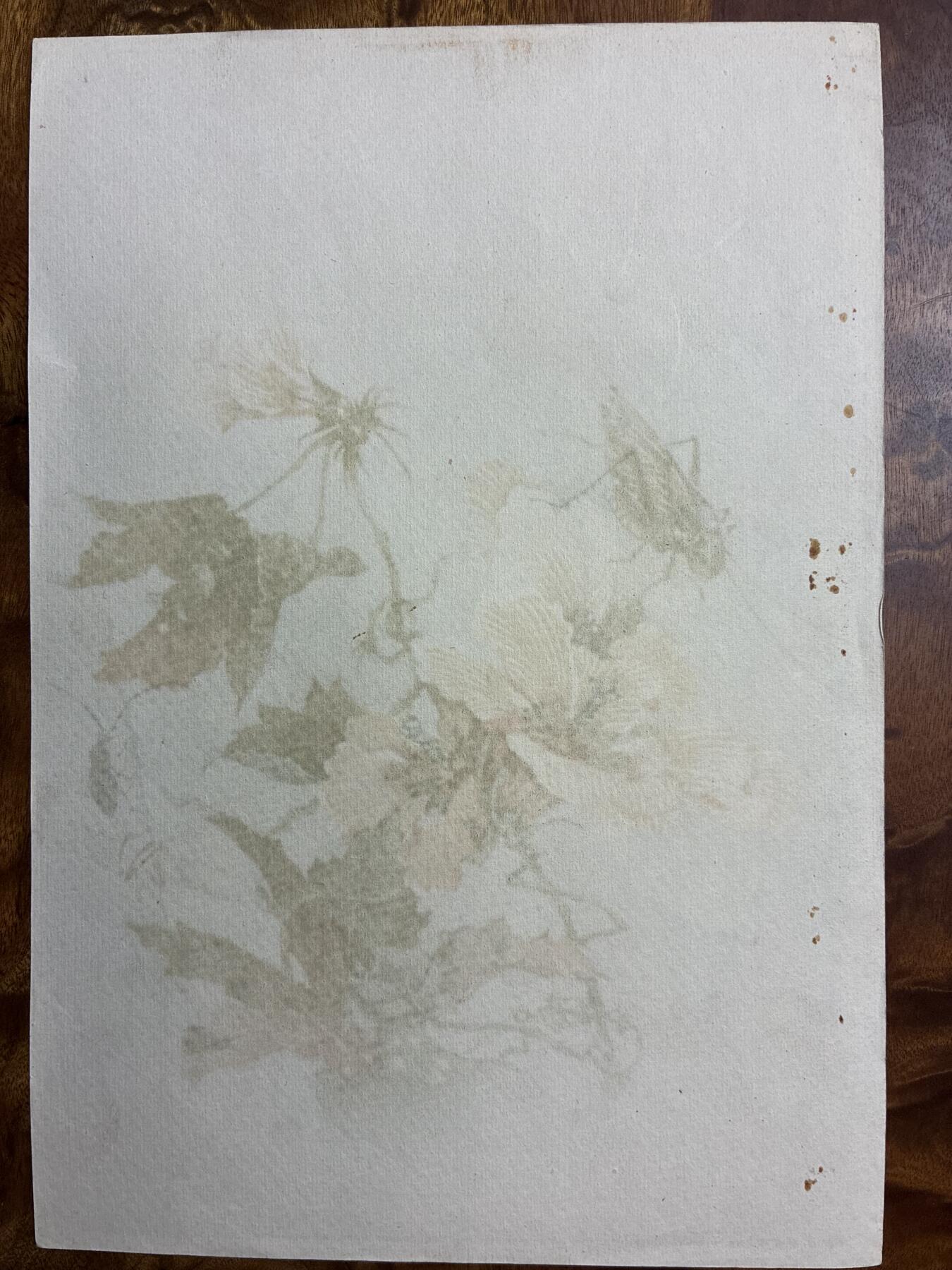 情怀旧藏儿时记忆经典收藏交流拍卖会 何逸梅绘画秋葵老年画宣传画