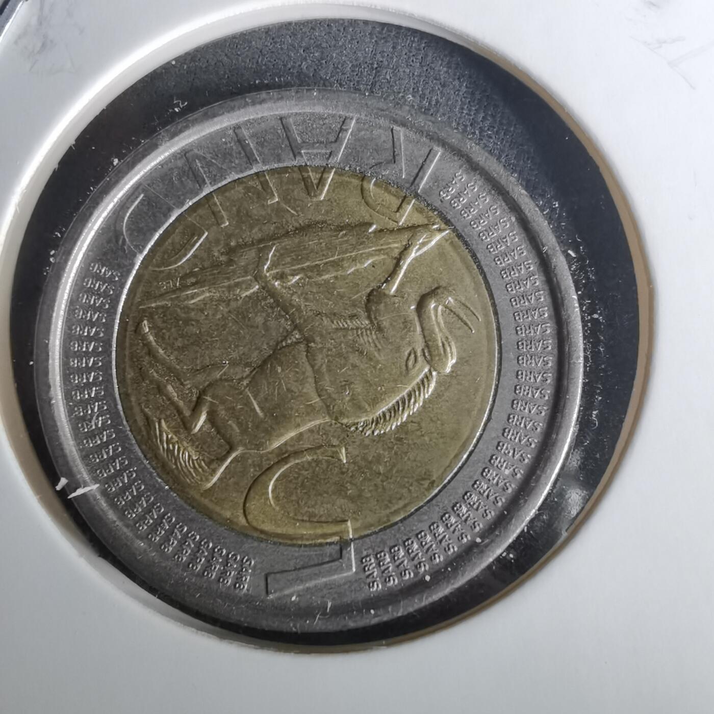 沼泽如烟--第1010场