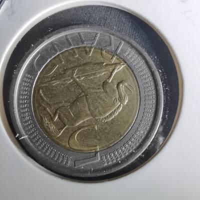 沼泽如烟--第1010场 - 南非2004年5兰特