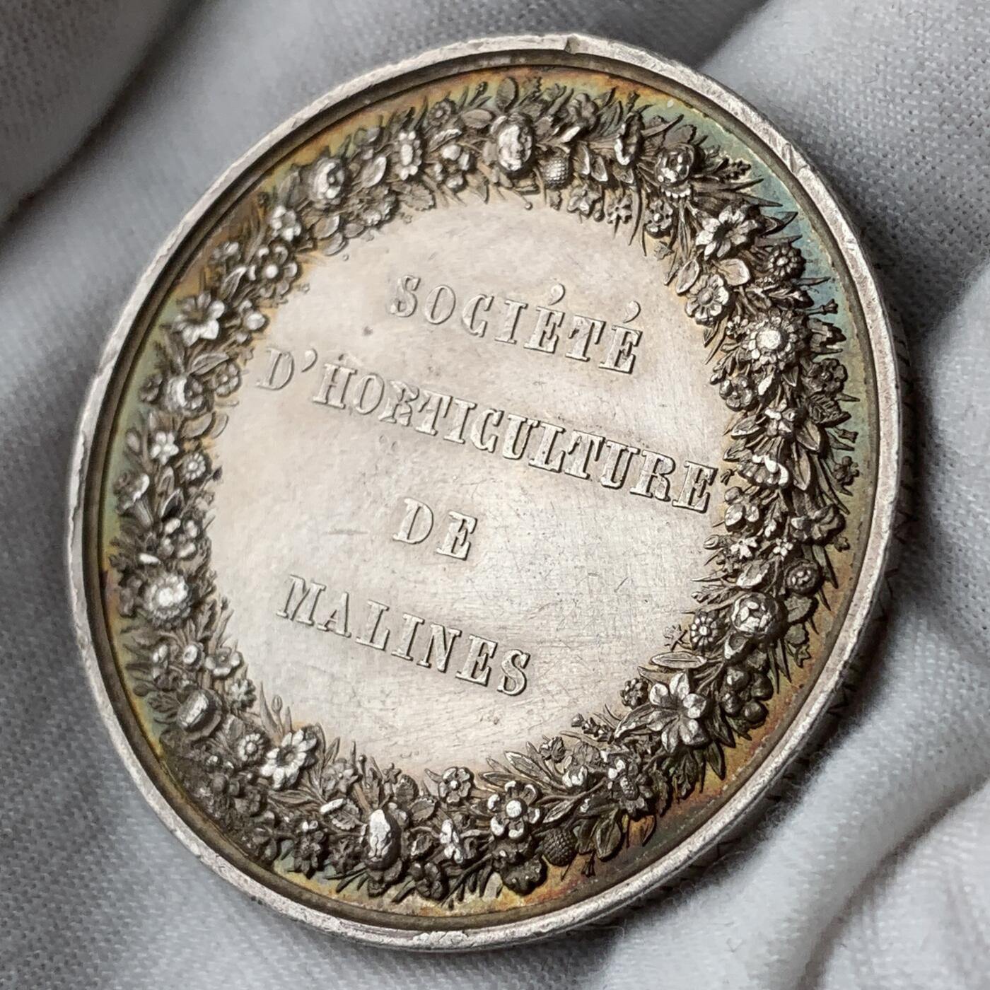 掌中浮雕-藏着的欧洲第053场 1847年比利时园艺协会银章，45.5mm，32.46g
