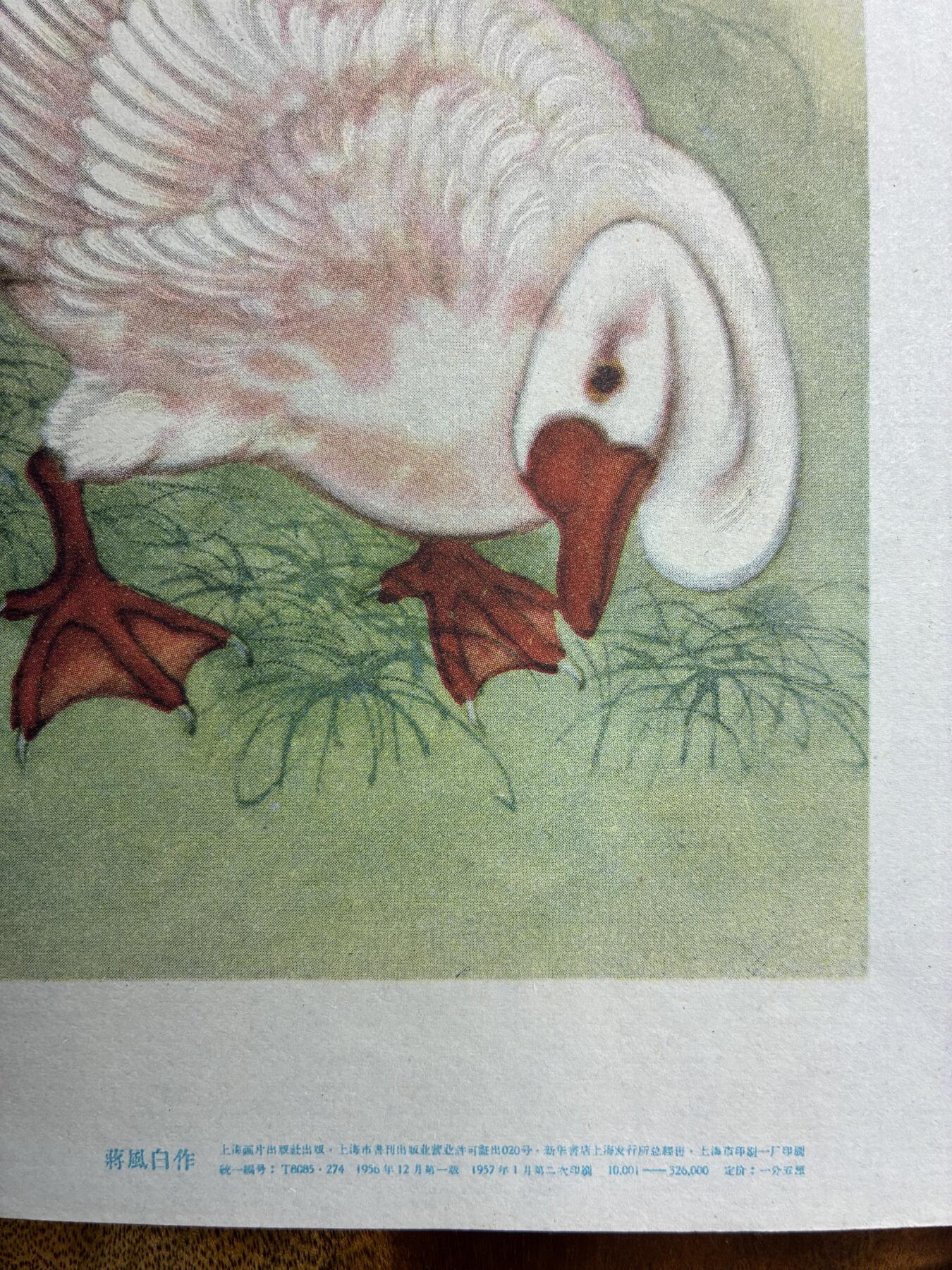 情怀旧藏儿时记忆经典收藏交流拍卖会 蒋風白绘画红蓼双鹅老年画宣传画