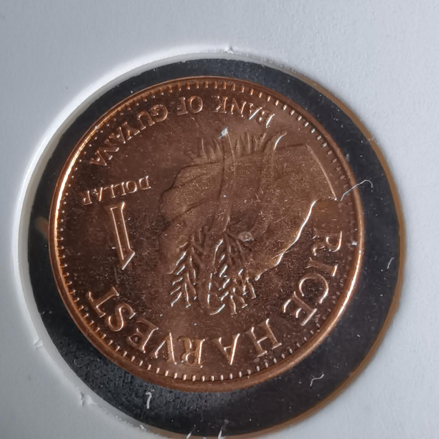 沼泽如烟--第1009场 圭亚那2015年一元