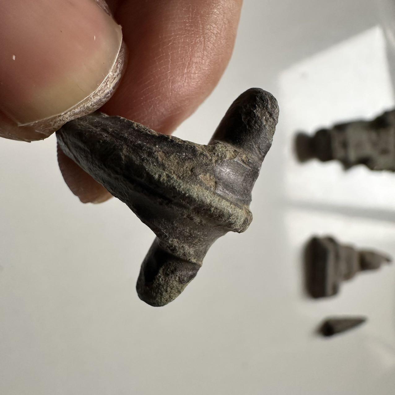 🌹外币初藏🌹🐯2026年第24场  每周二四六晚8️⃣点 接代拍 中国汉代青铜带钩残件 双兽首式 长约2.5cm 重约6g 生坑绿锈